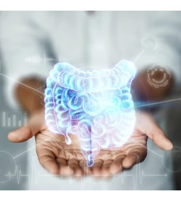 Amit az emésztőrendszer tisztításáról tudni érdemes